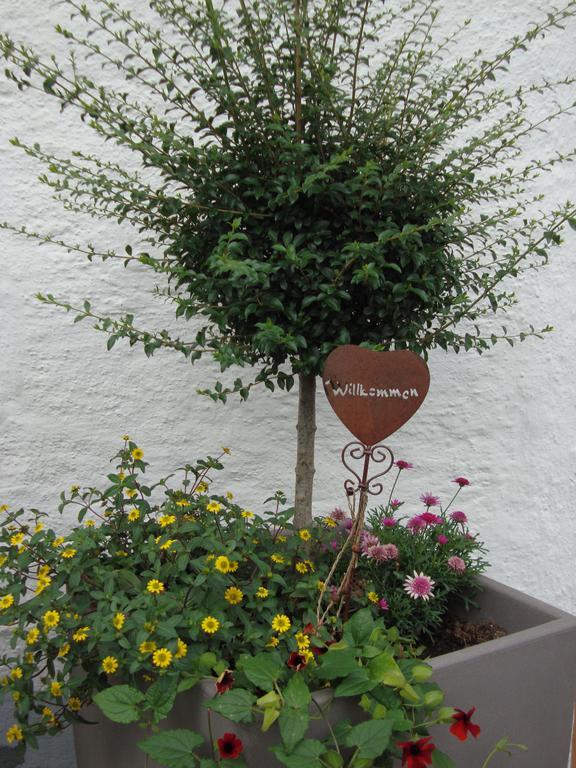 Weixler Schindelberg Hotel Oberstaufen Kültér fotó